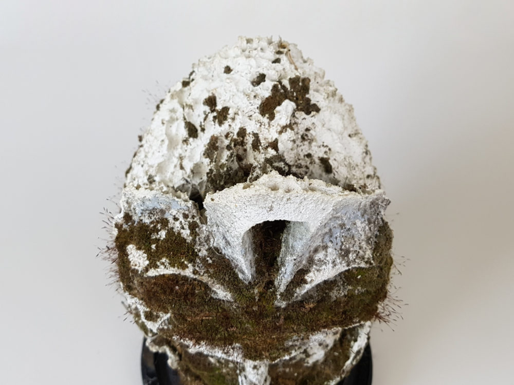 19th century antique plaster Head of a Roman Centurion