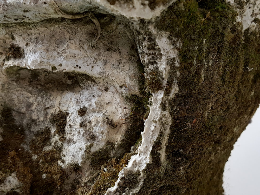 19th century antique plaster Head of a Roman Centurion