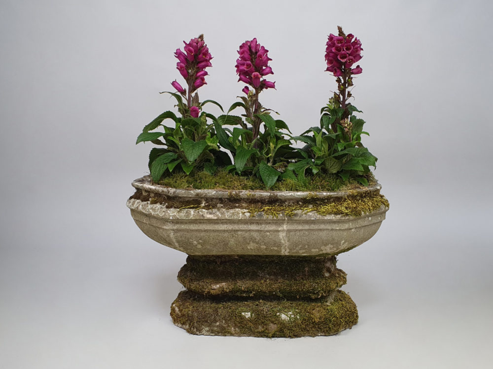 19th century antique Sand stone Planter