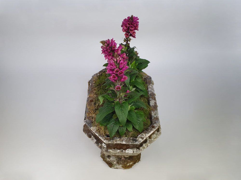 19th century antique Sand stone Planter