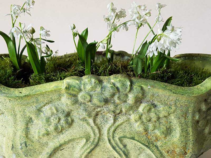 Jardiniere