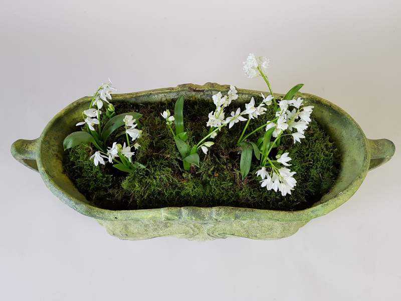 Jardiniere