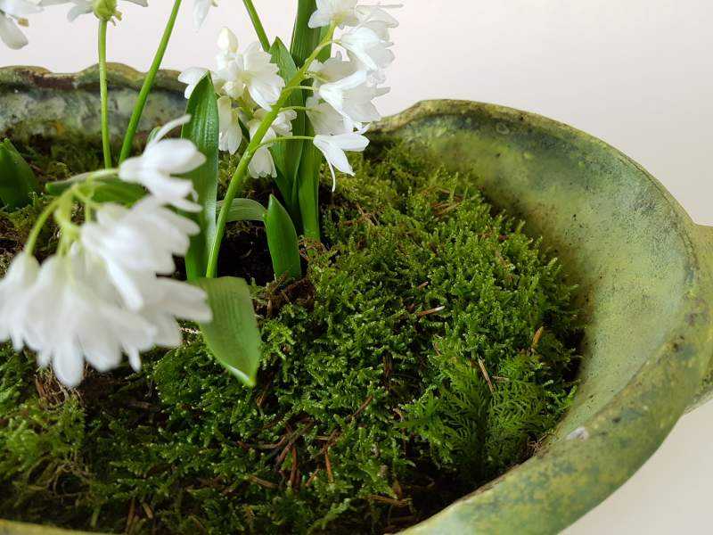 Jardiniere