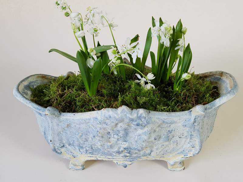 Jardiniere