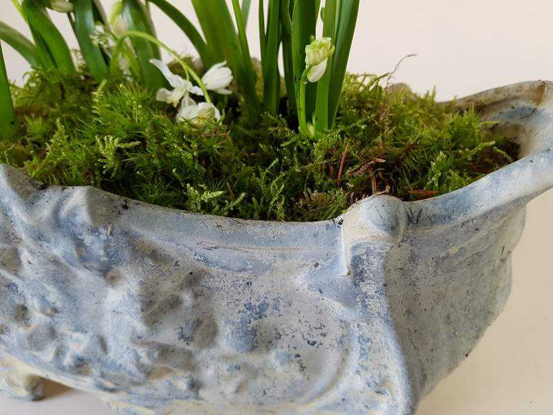 Jardiniere
