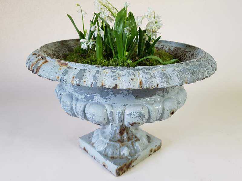 Cast Iron Jardiniere