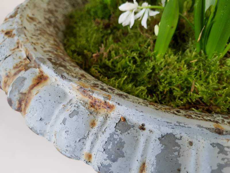 Cast Iron Jardiniere