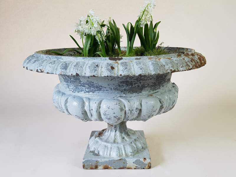 Cast Iron Jardiniere