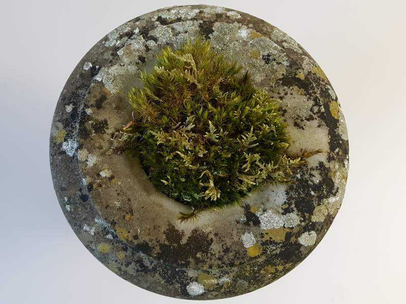 Marble Urn