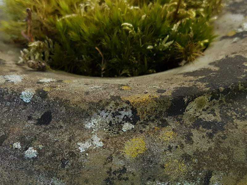 Marble Urn