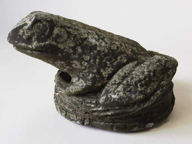 Frog