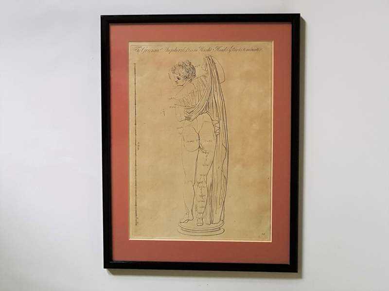 Sculptor's Anatomical Print