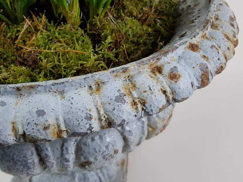 Cast Iron Jardiniere