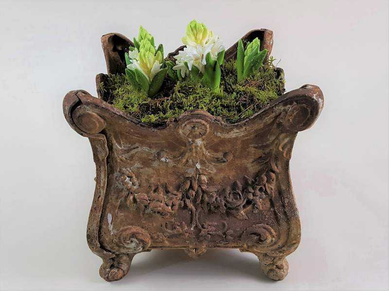 Cast Iron Jardiniere
