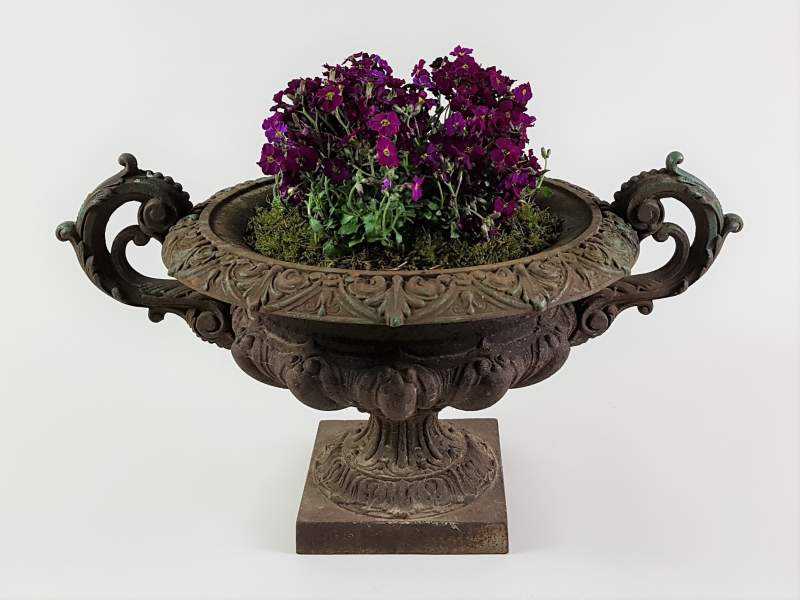 Cast Iron Jardiniere