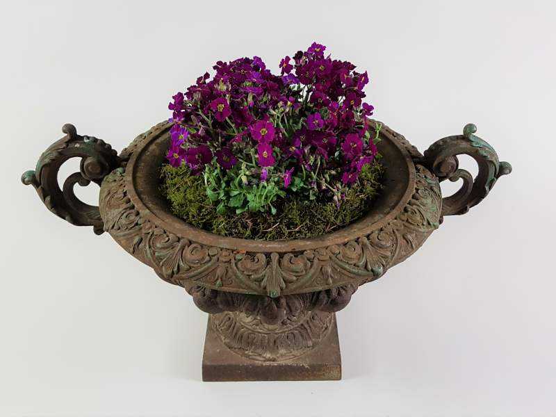 Cast Iron Jardiniere