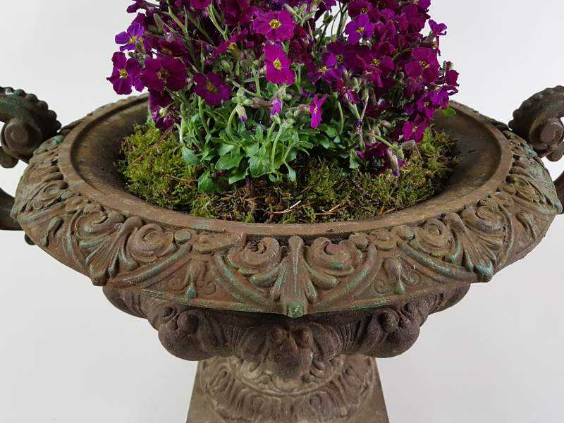 Cast Iron Jardiniere