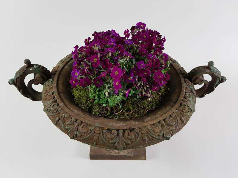 Cast Iron Jardiniere