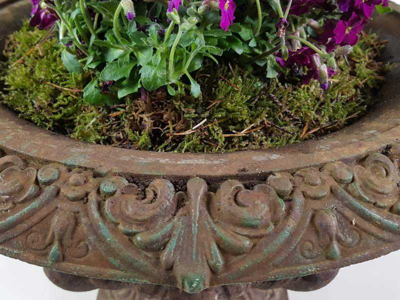 Cast Iron Jardiniere