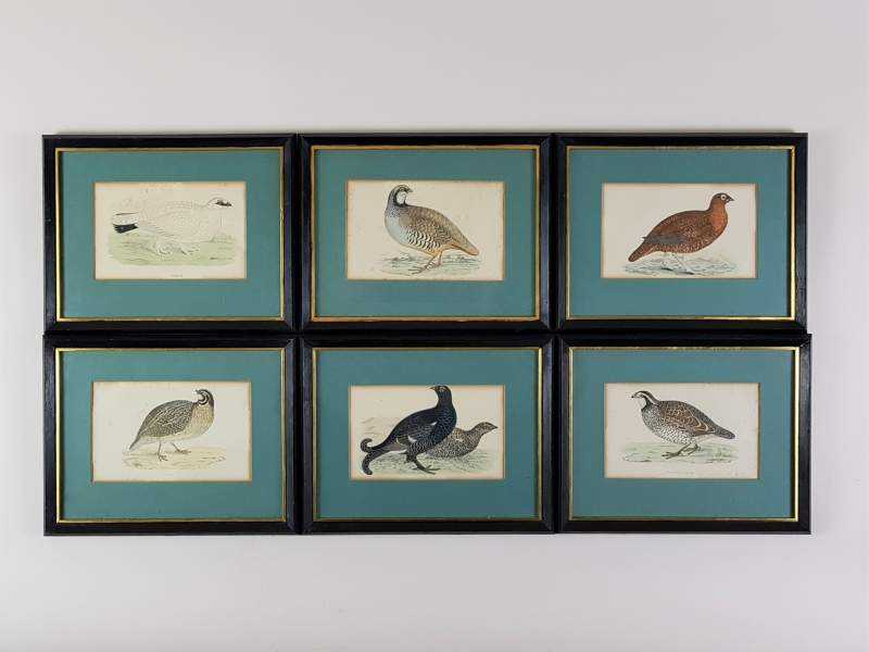 Set of Six Bird Plates 