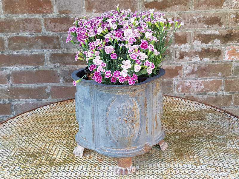 Pair of Lead Planters