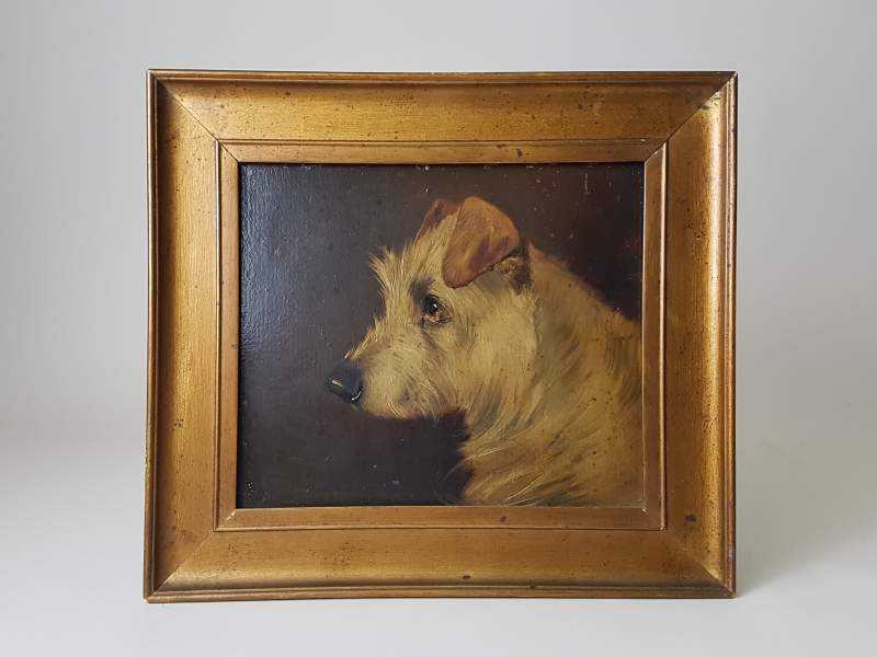 Portrait of a Terrier Dog