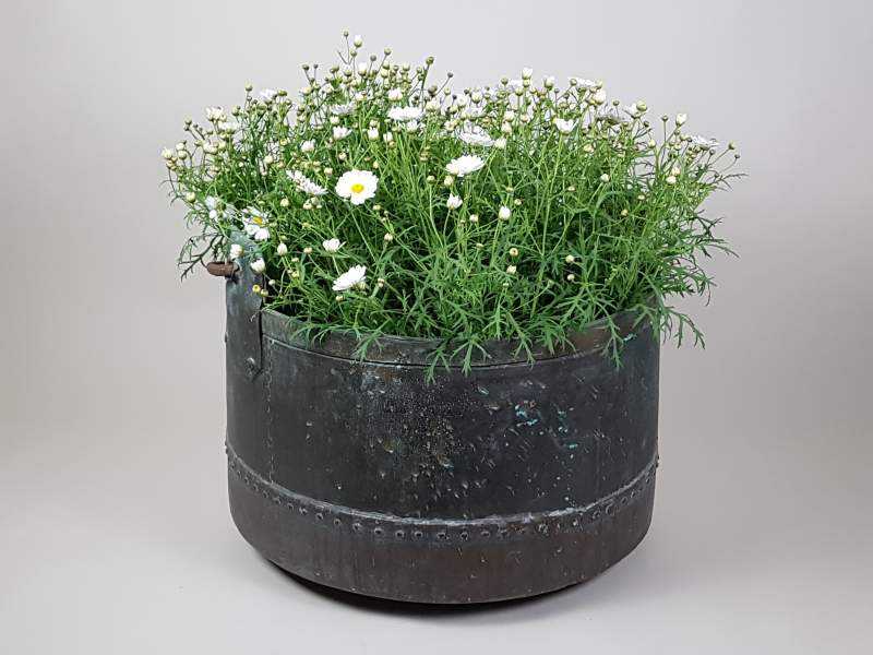 Large Garden Planter