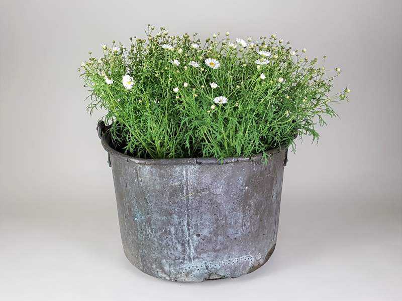 Large Garden Planter