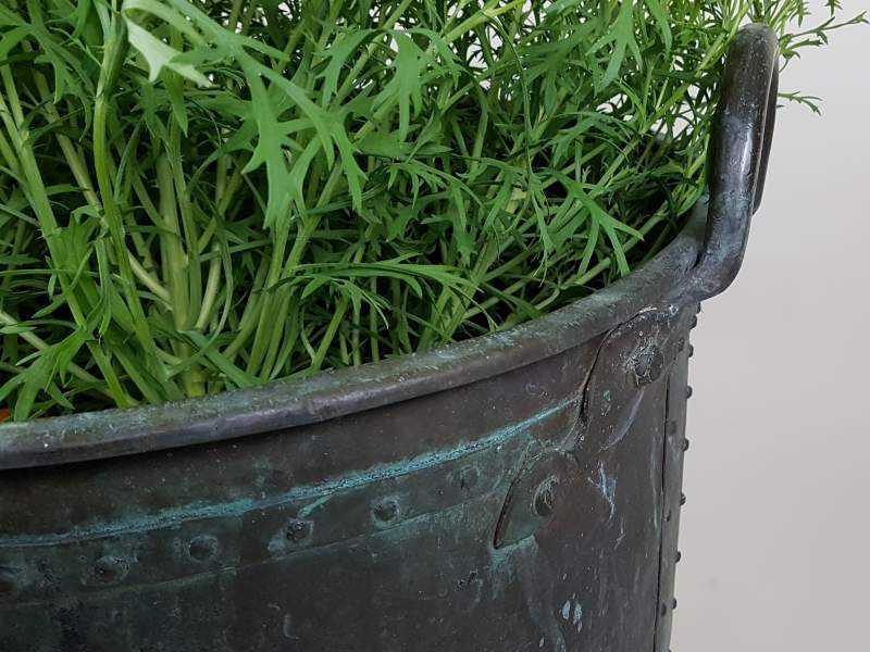 Large Garden Planter