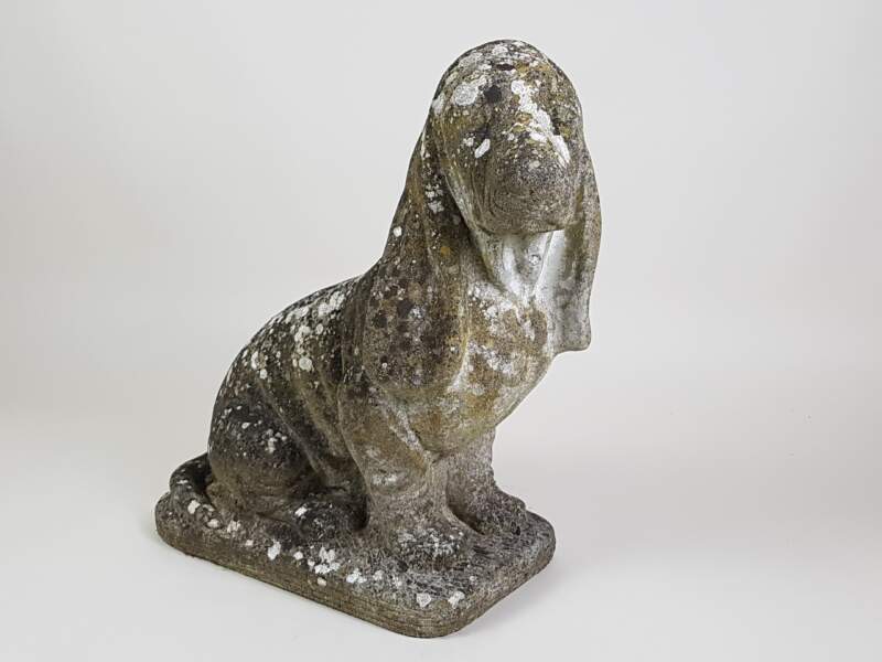 Bassett Hound