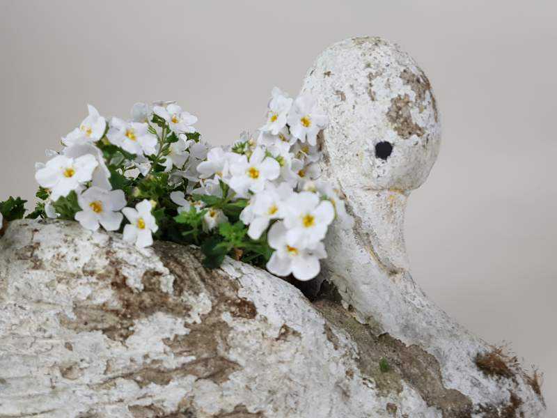 Swan Planter