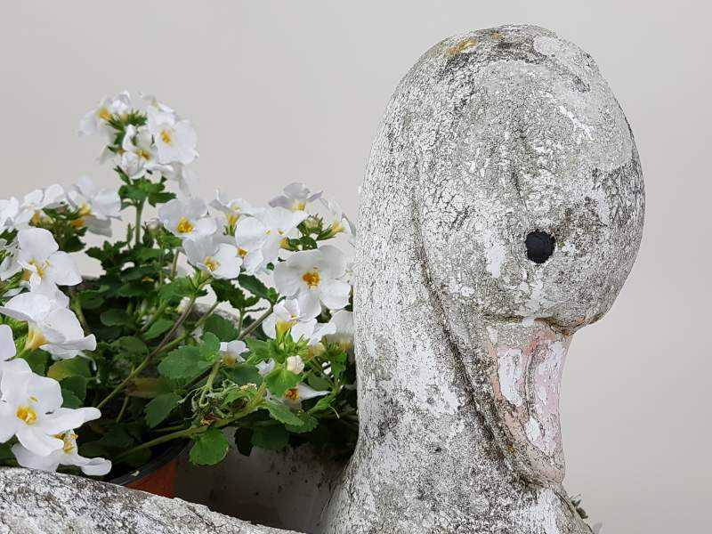 Swan Planter