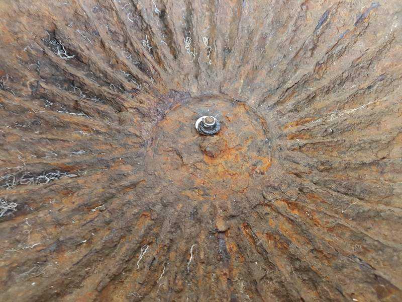 Urn
