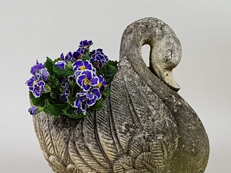 Swan Planter