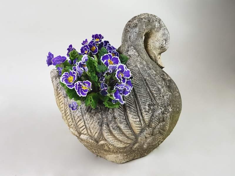 Swan Planter