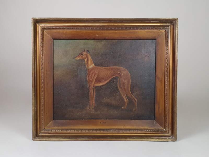 Greyhound oil on canvas, Herbert St John Jones