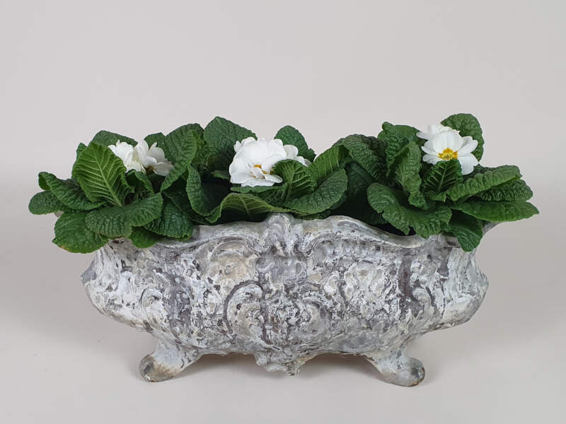Decorative Cast Iron Jardiniere, Wonderful Patina