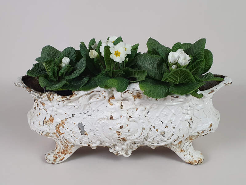 Large French Cast Iron Jardiniere