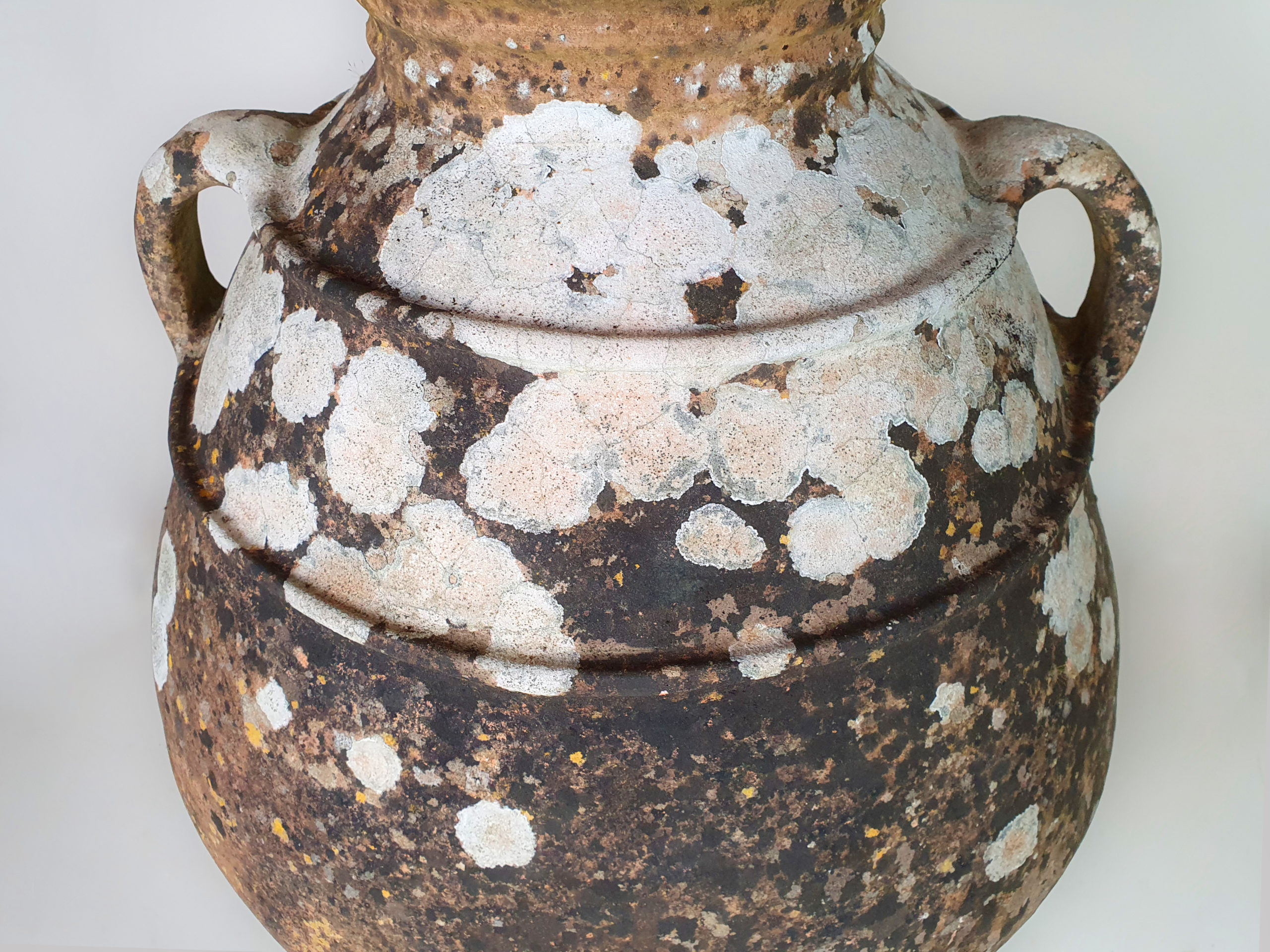 Large terracotta Urn with good covering of moss and lichen
