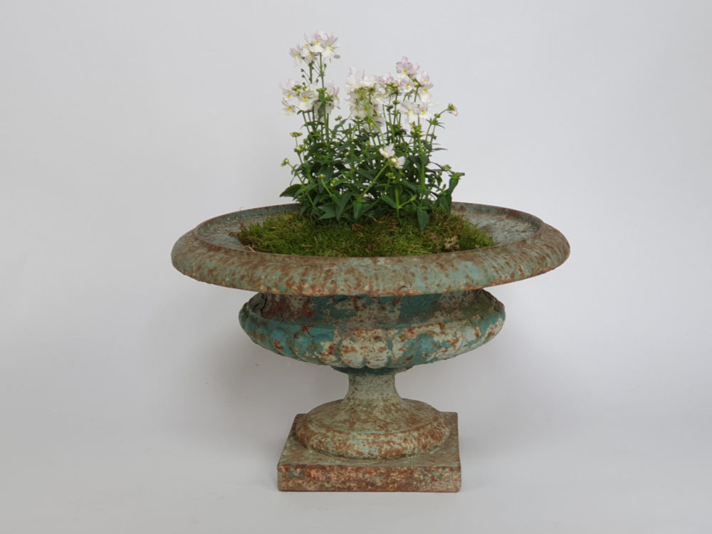 Exceptional run of four Georgian tazza Urns, with original duck egg blue paint