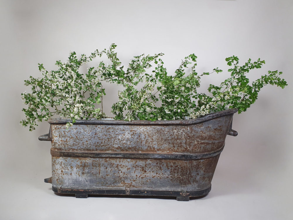 Beautiful Napoleon III zinc Slipper Bath