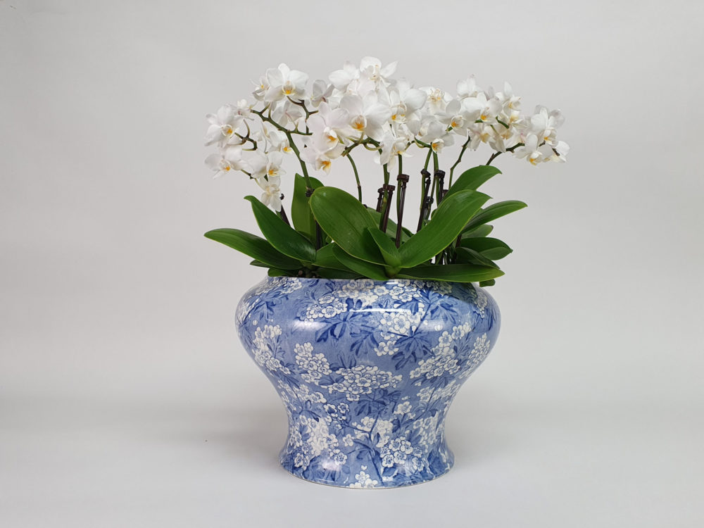 Antique ceramic ‘May Blossom’ blue and white transfer Pot