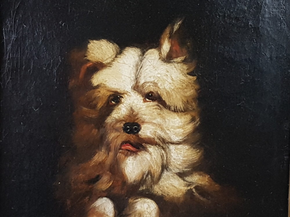 Antique oil painting - a portrait of a West Highland Terrier