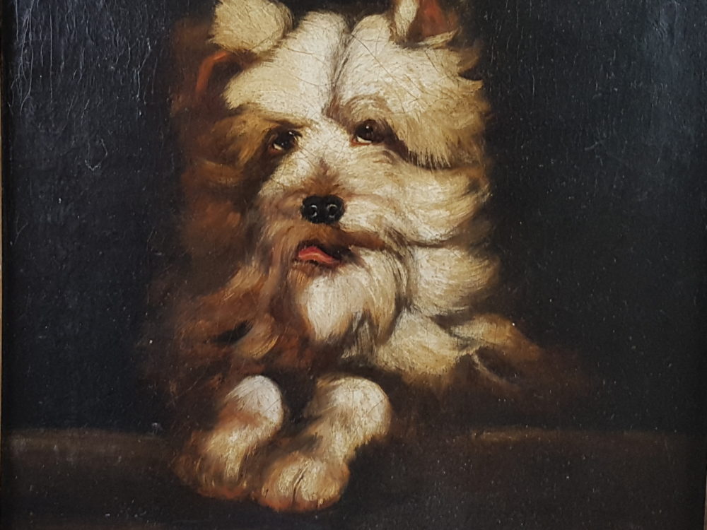 Antique oil painting - a portrait of a West Highland Terrier