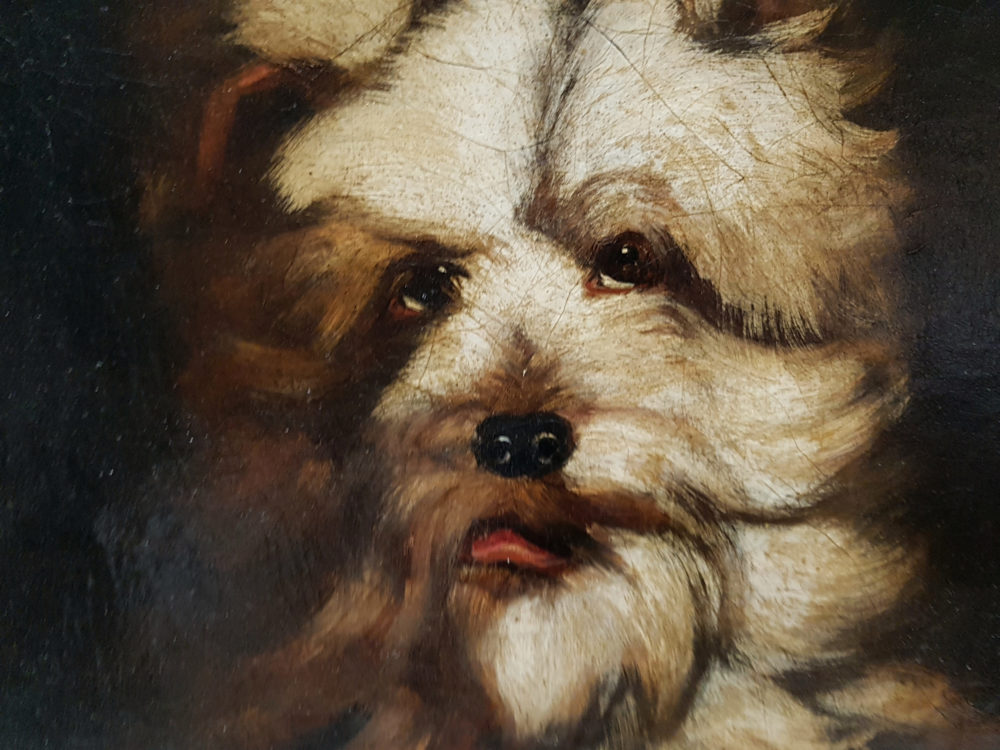 Antique oil painting - a portrait of a West Highland Terrier