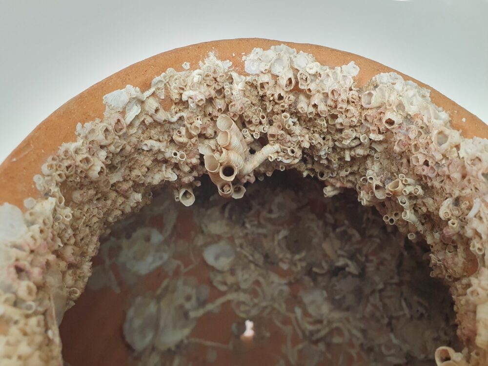 Antique terracotta Octopus Trap Pot