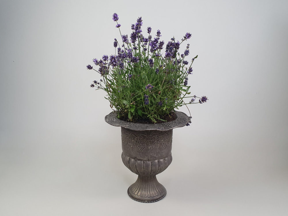 Attractive embossed antique tin Garden Planter