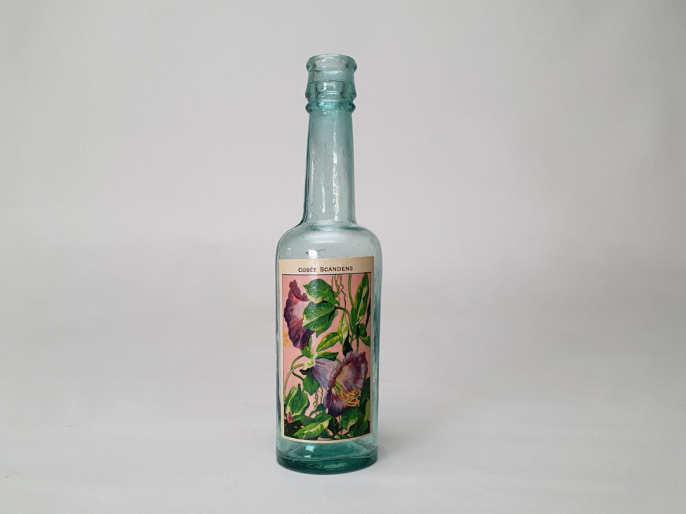 Collection of decorative antique bottles with old French flower labels