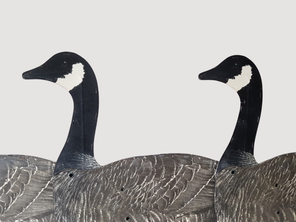 Collection of mid century antique cardboard Black Canada Decoy Geese