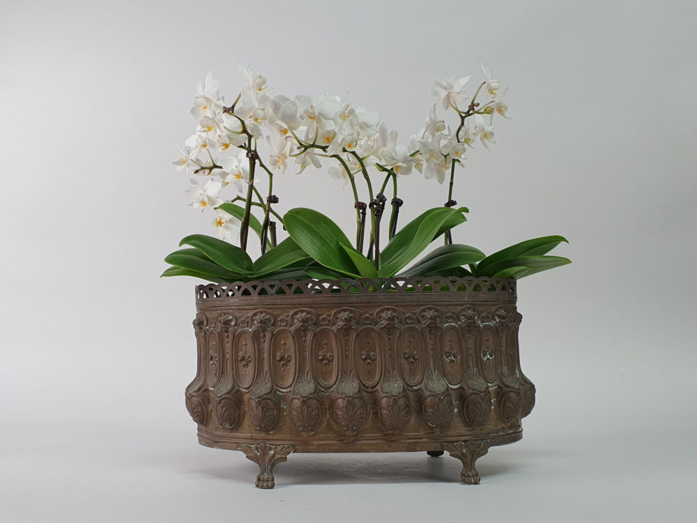 Decorative antique Jardinière